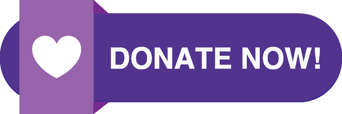 Donate Now button for Imagination Library